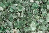 Fluorescent Green Fluorite Cluster - Diana Maria Mine, England #208862-3